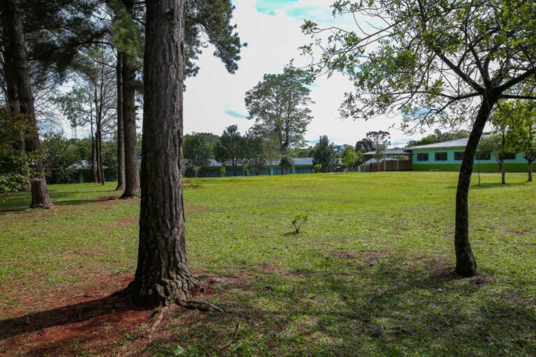 SAFA_INFRA_IMG_1022197 (27) (3) (31)