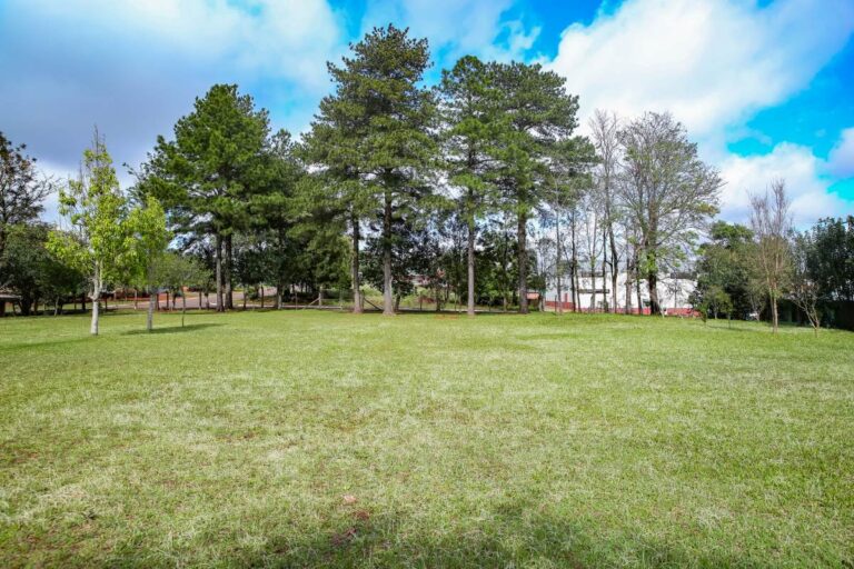 SAFA_INFRA_IMG_1022197 (27) (3) (34)