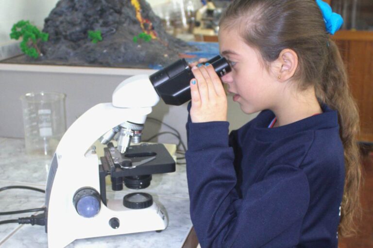 SAFA_INFRA_IMG_1022197 (27) (3) (38)