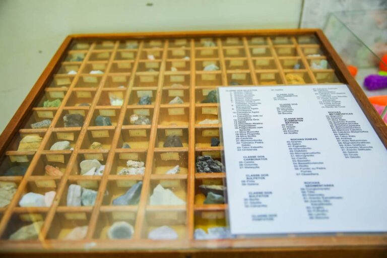 SAFA_INFRA_IMG_1022197 (27) (3) (39)