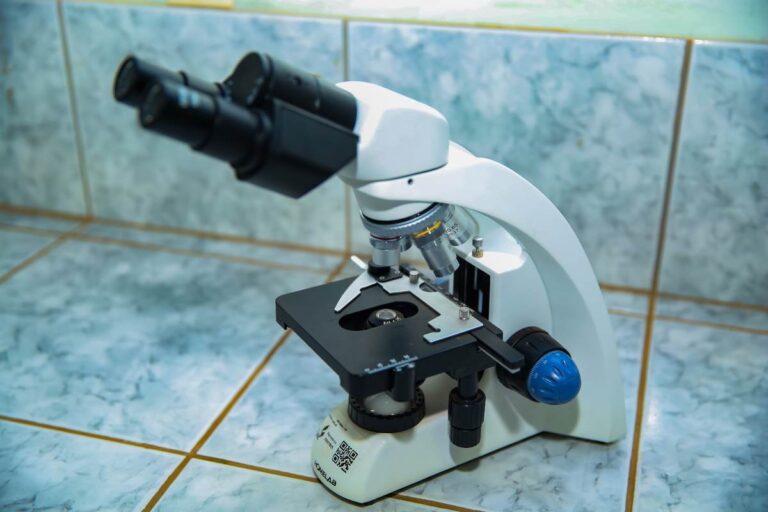 SAFA_INFRA_IMG_1022197 (27) (3) (43)