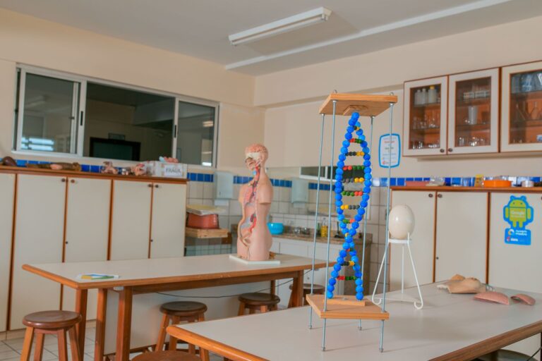 SAFA_INFRA_IMG_1022197-14